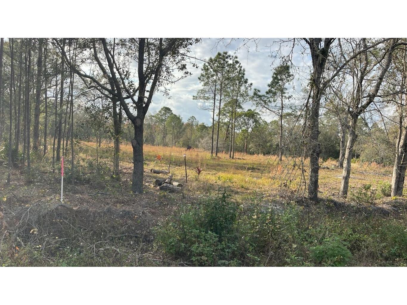 Kelly Ridge Road Frostproof FL 33843 TB8346618 image4