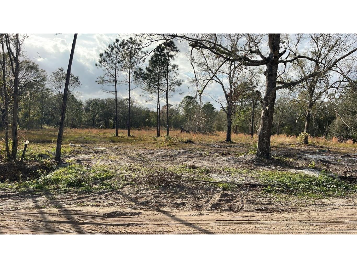 Kelly Ridge Road Frostproof FL 33843 TB8346618 image5