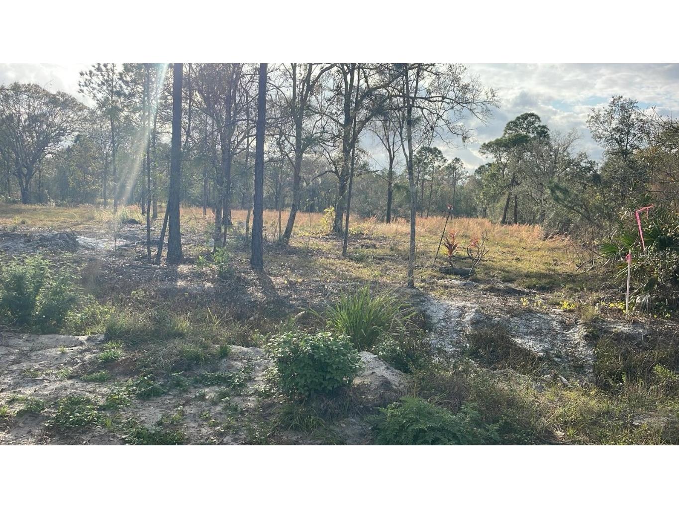 Kelly Ridge Road Frostproof FL 33843 TB8346618 image6