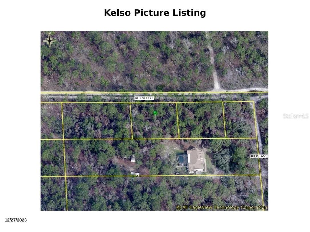 Kelso Street Weeki Wachee FL 34614 TB8434559 image1