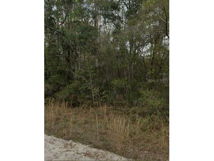 Kent Interlachen FL 32148 A4662644 image1