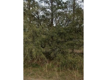 Kent Interlachen FL 32148 A4665590 image1