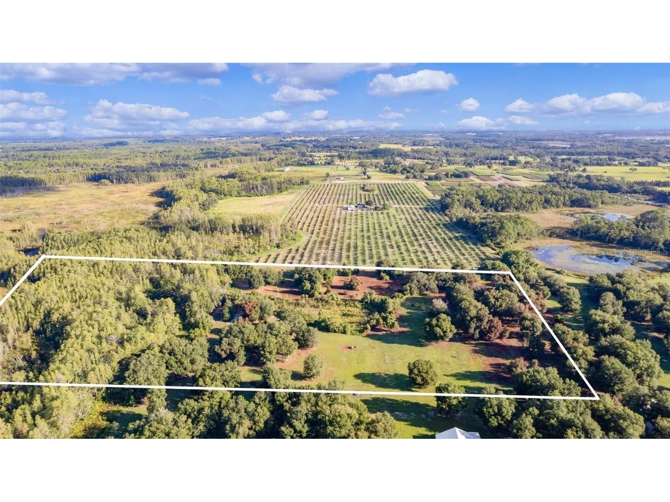 Kentucky Derby Rd Groveland FL 34736 G5073675 image1