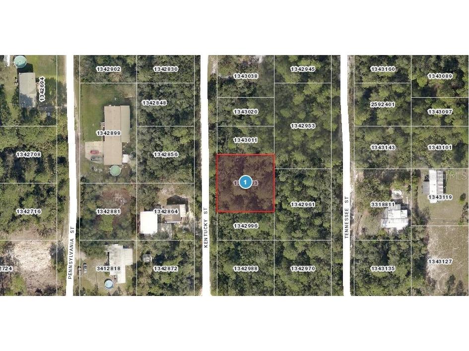 Kentucky Street Paisley FL 32767 C7510465 image1