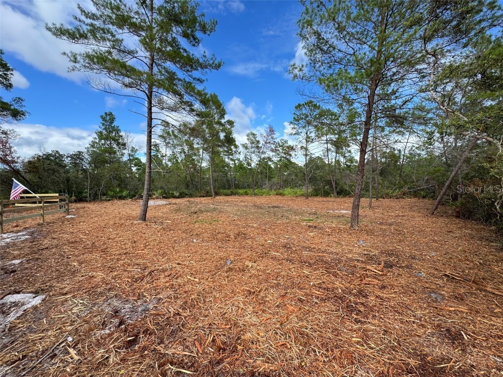 Kentucky Street Paisley FL 32767 G5102831 image5