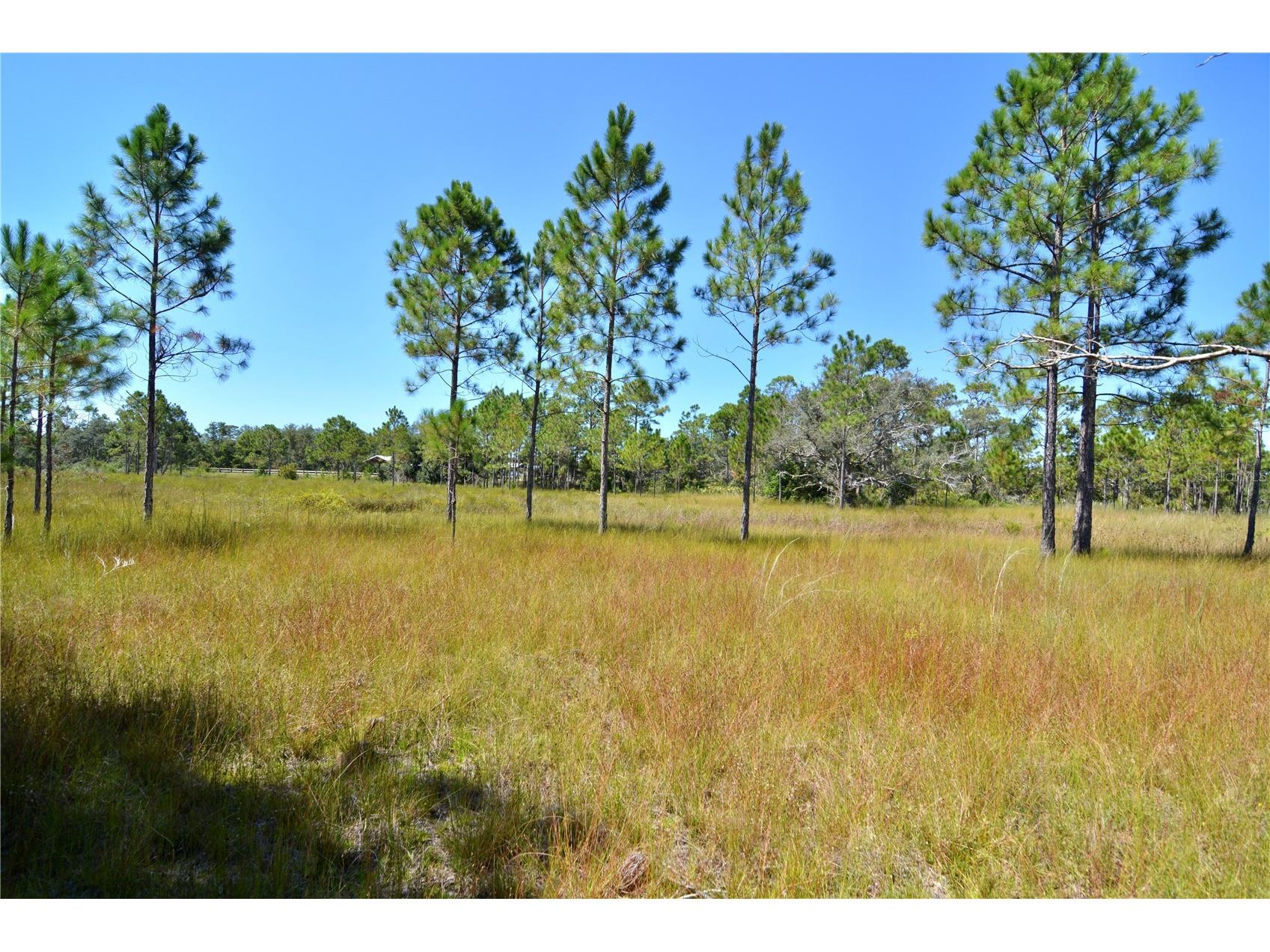 Key Deer Ct Perry FL 32348 OM724069 image11