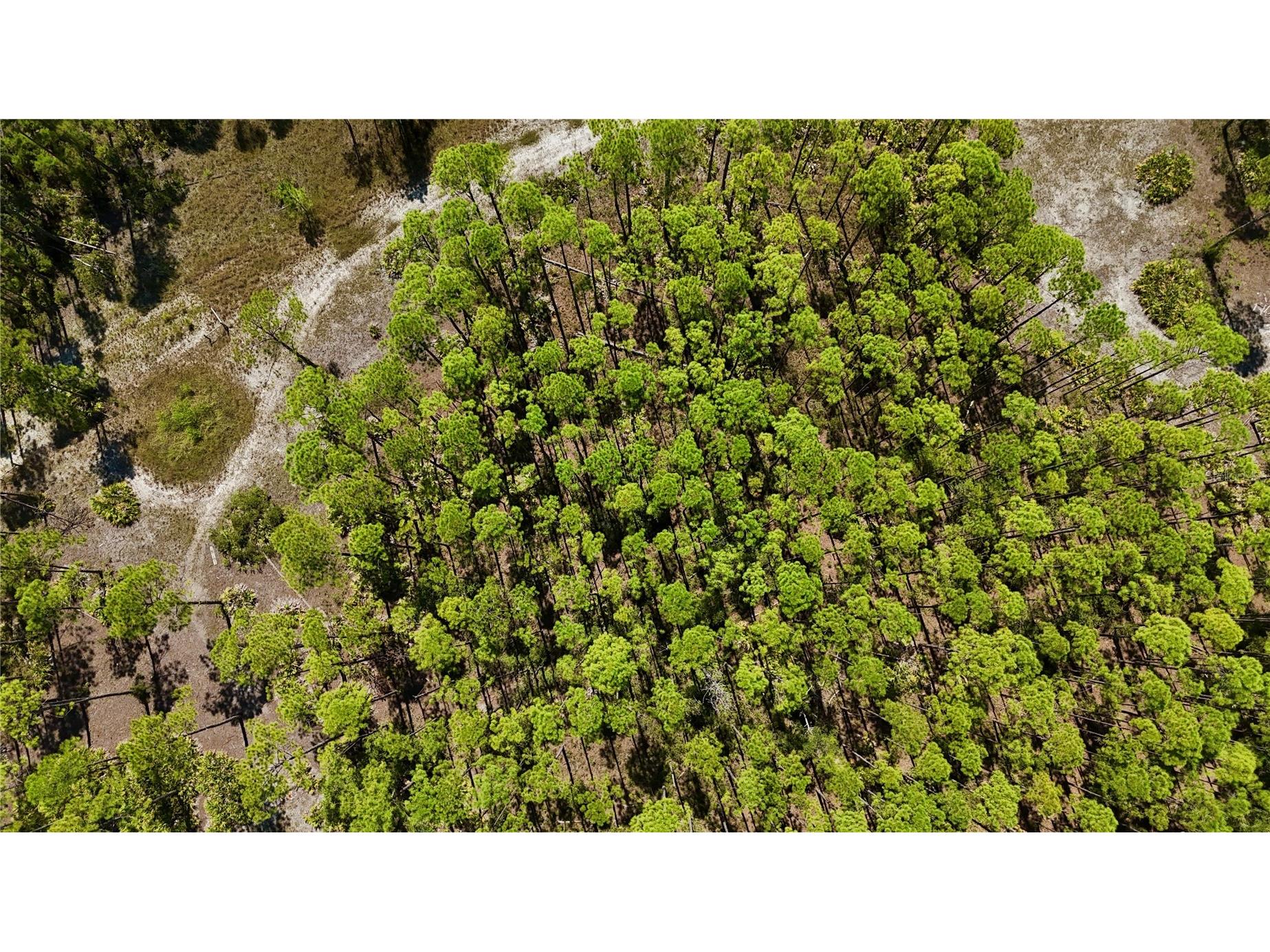 Key Deer Ct Perry FL 32348 OM724069 image16