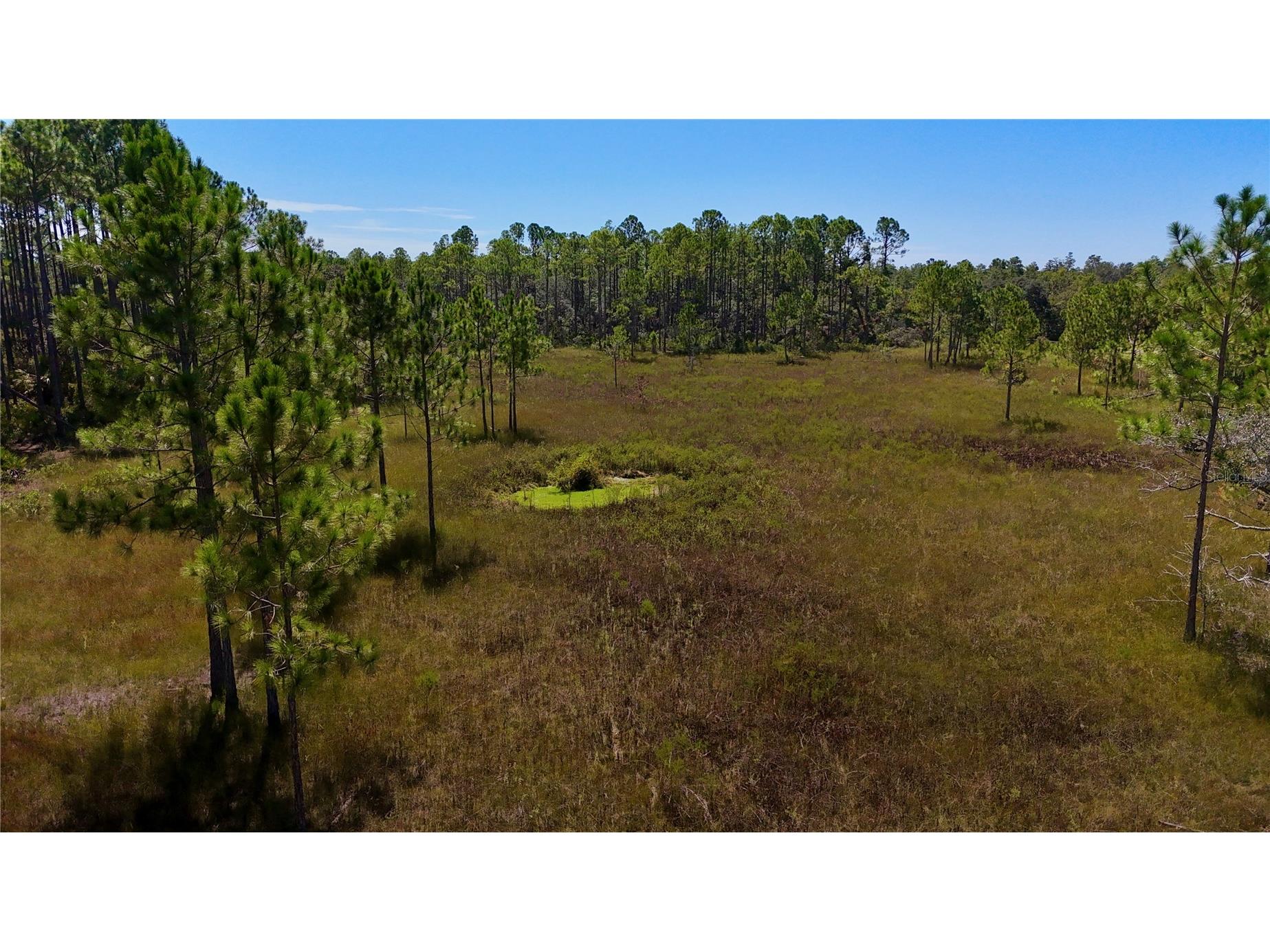 Key Deer Ct Perry FL 32348 OM724069 image18