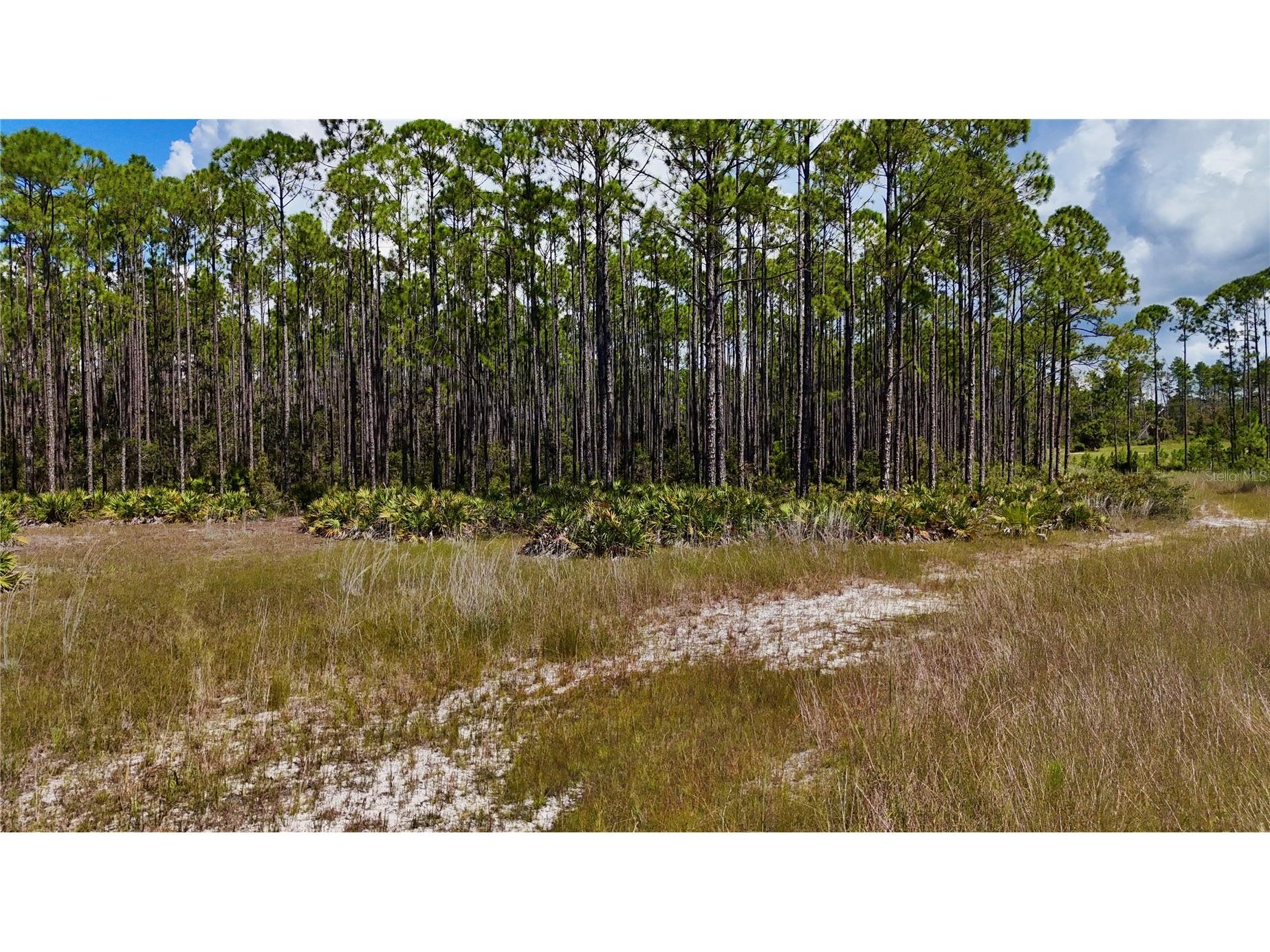 Key Deer Ct Perry FL 32348 OM724069 image2