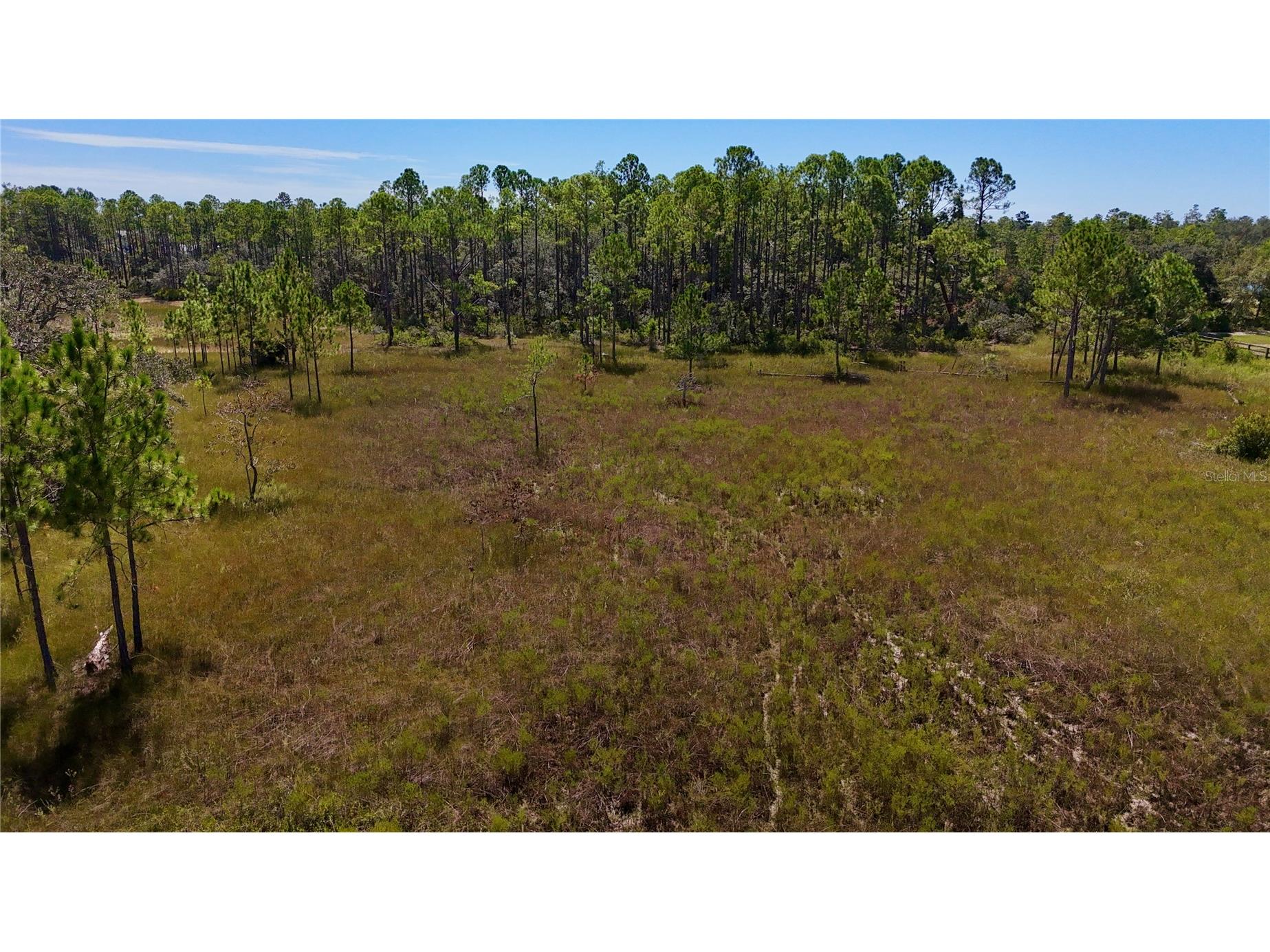 Key Deer Ct Perry FL 32348 OM724069 image20