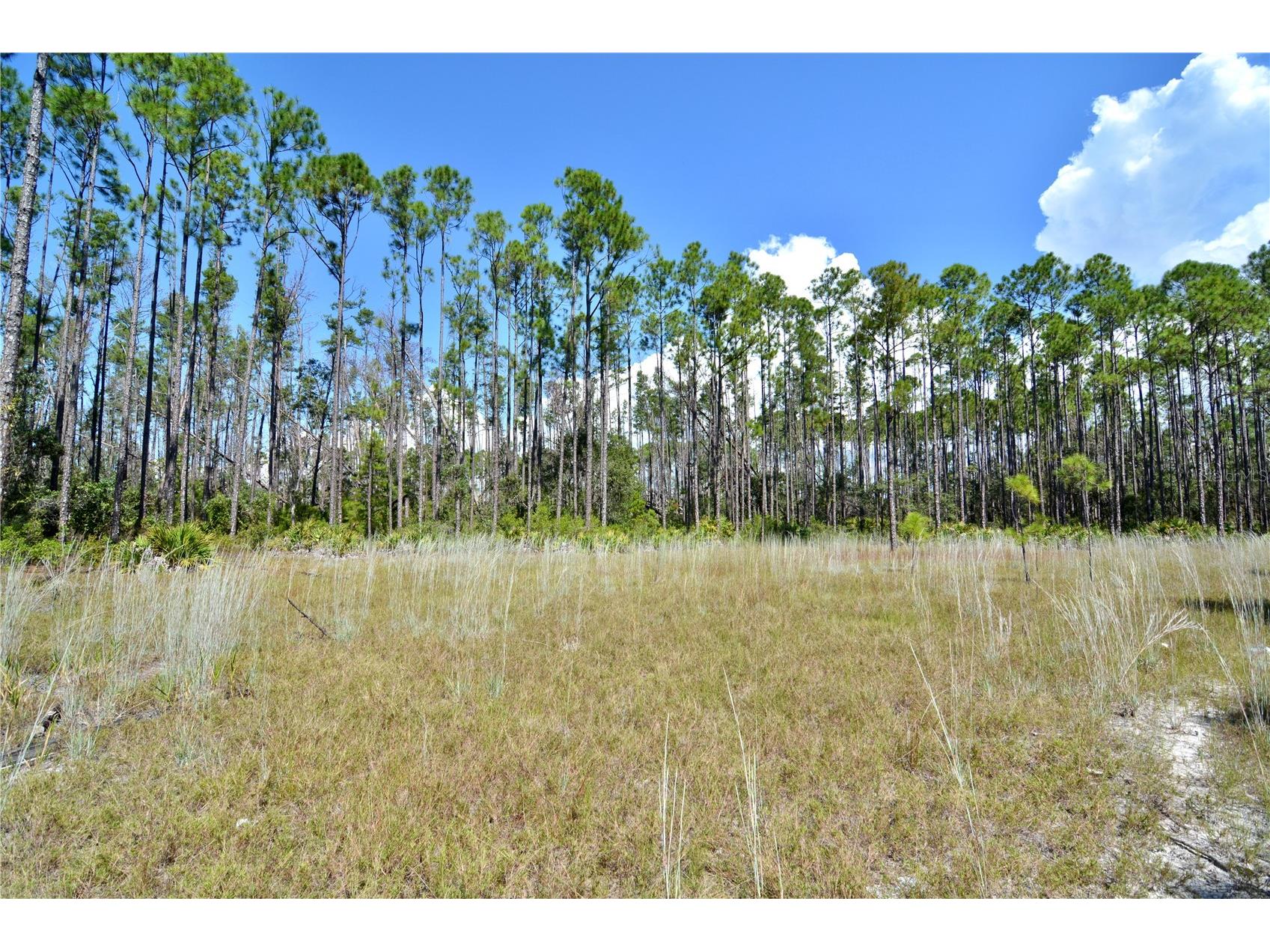 Key Deer Ct Perry FL 32348 OM724069 image21