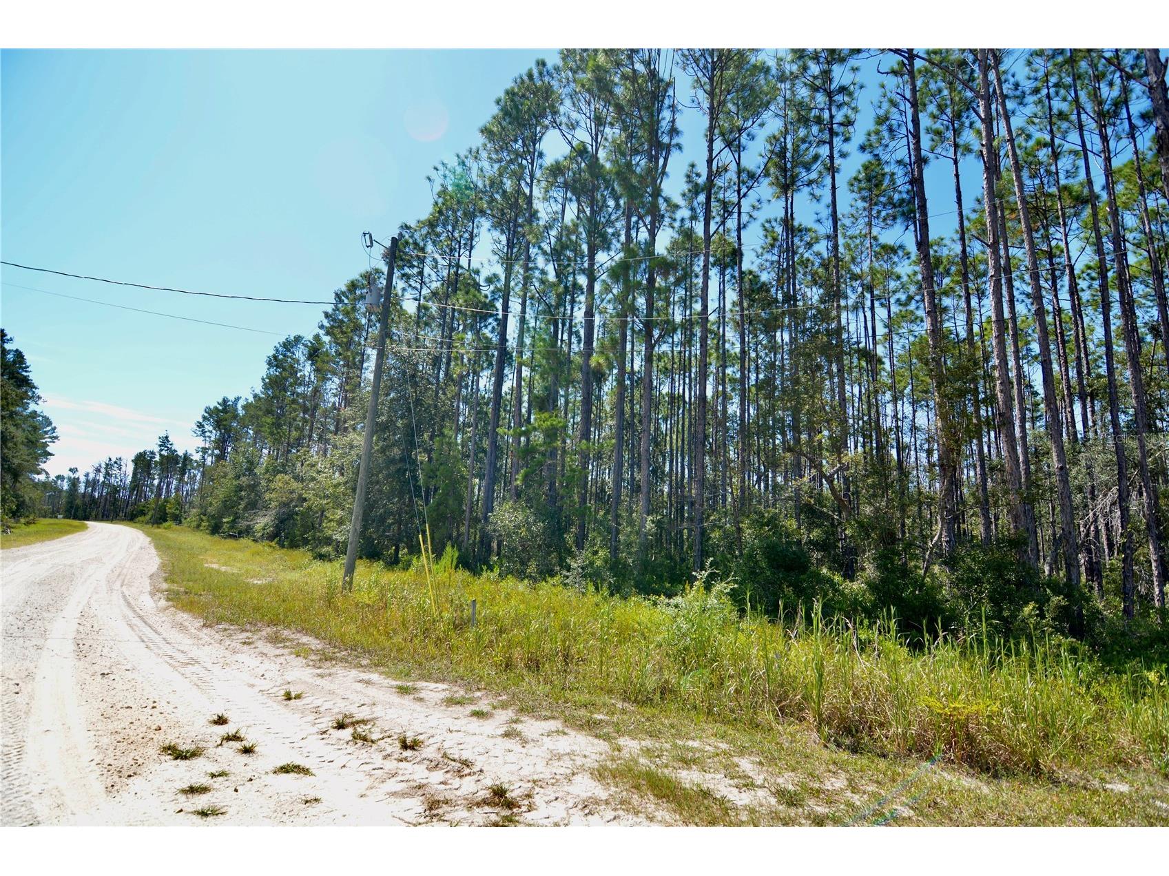 Key Deer Ct Perry FL 32348 OM724069 image22