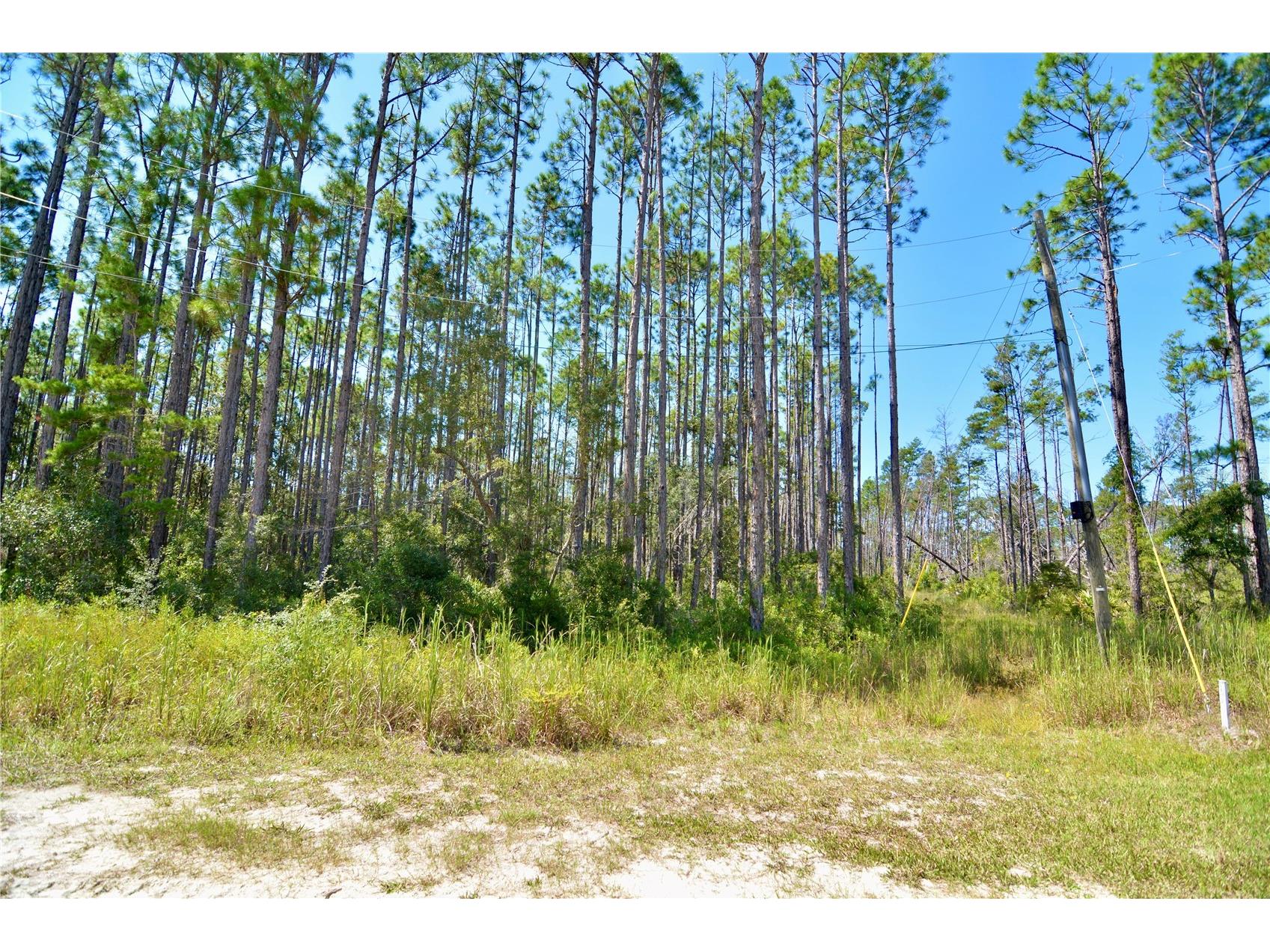 Key Deer Ct Perry FL 32348 OM724069 image23