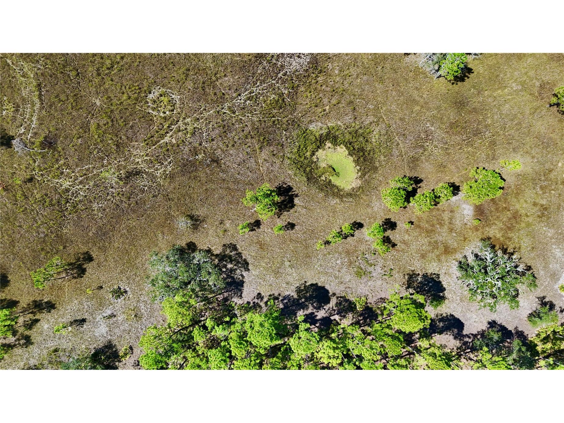 Key Deer Ct Perry FL 32348 OM724069 image26