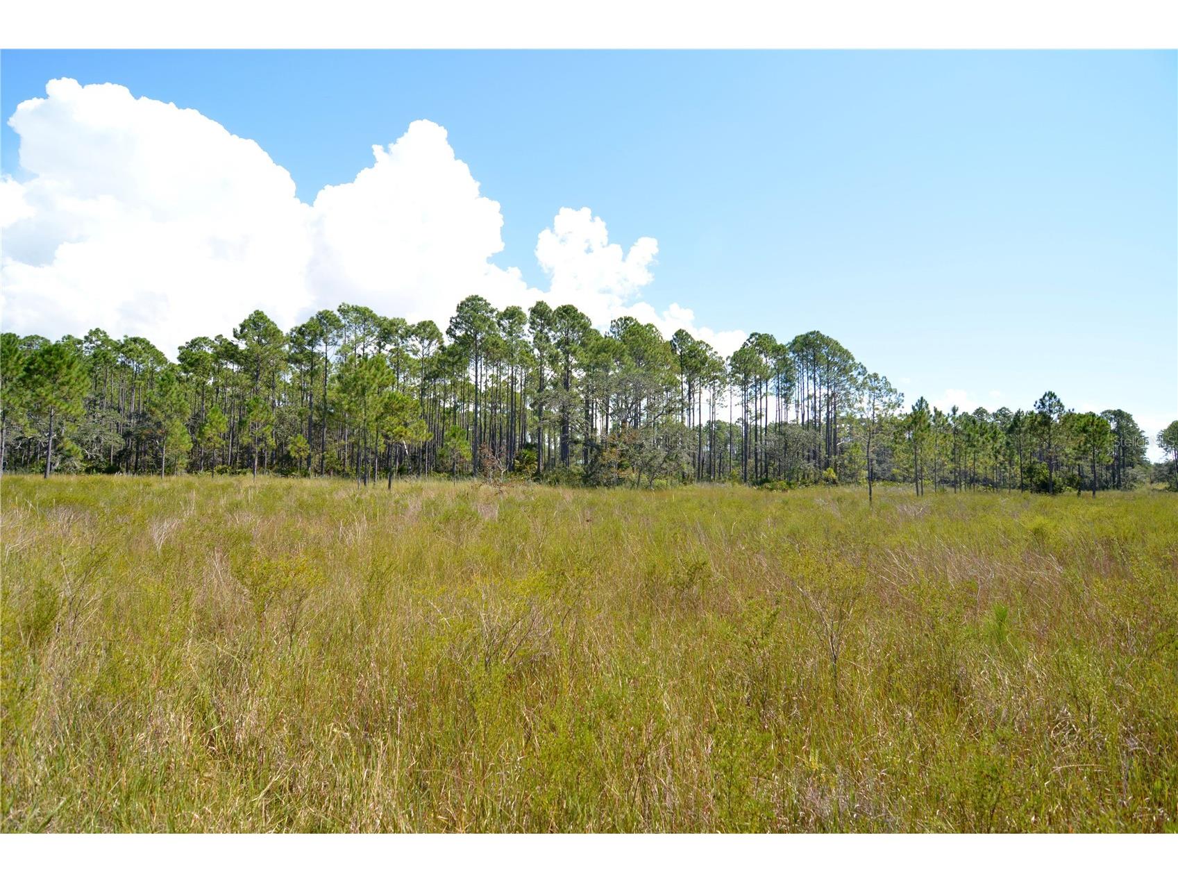 Key Deer Ct Perry FL 32348 OM724069 image27
