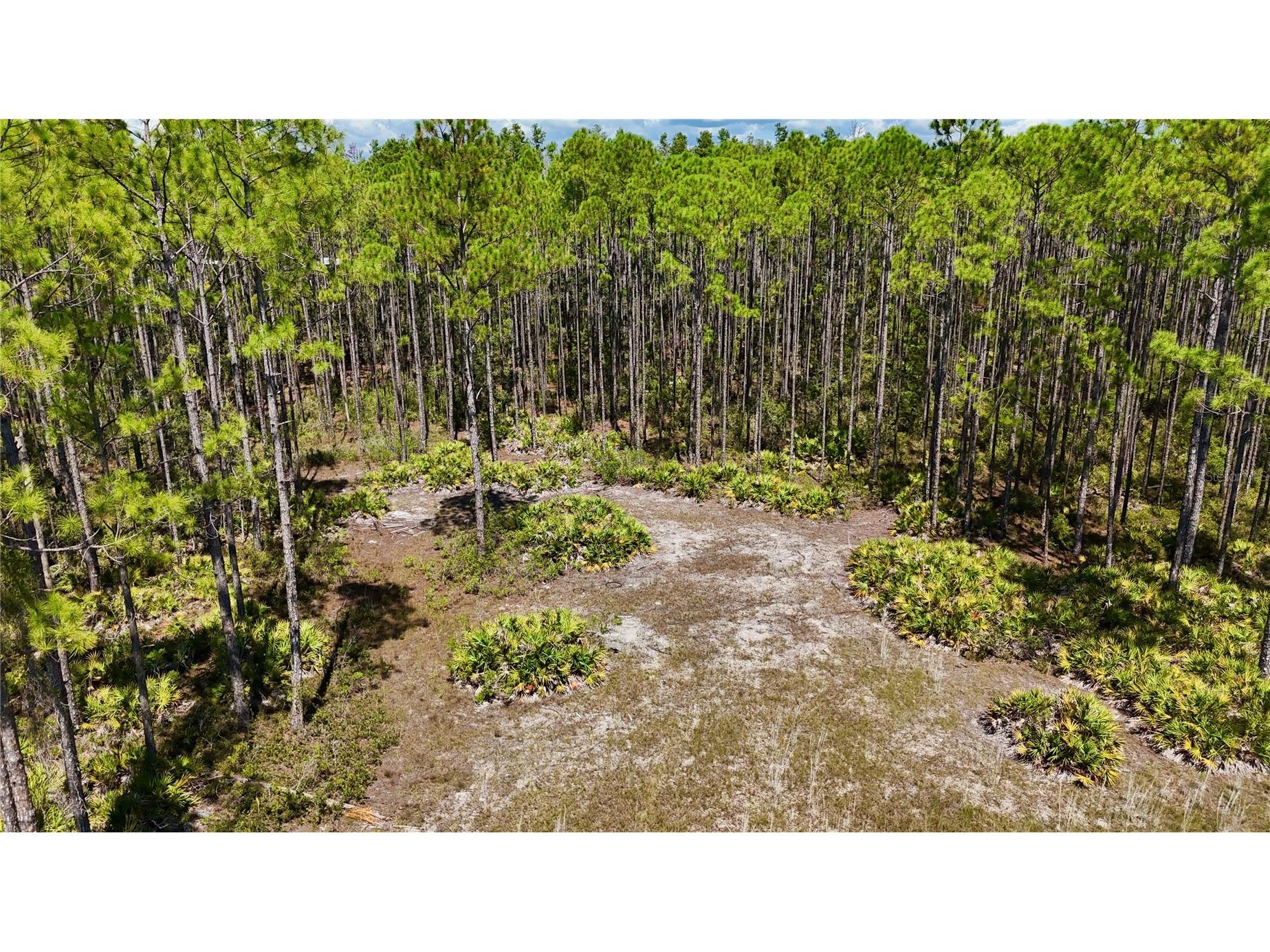 Key Deer Ct Perry FL 32348 OM724069 image3