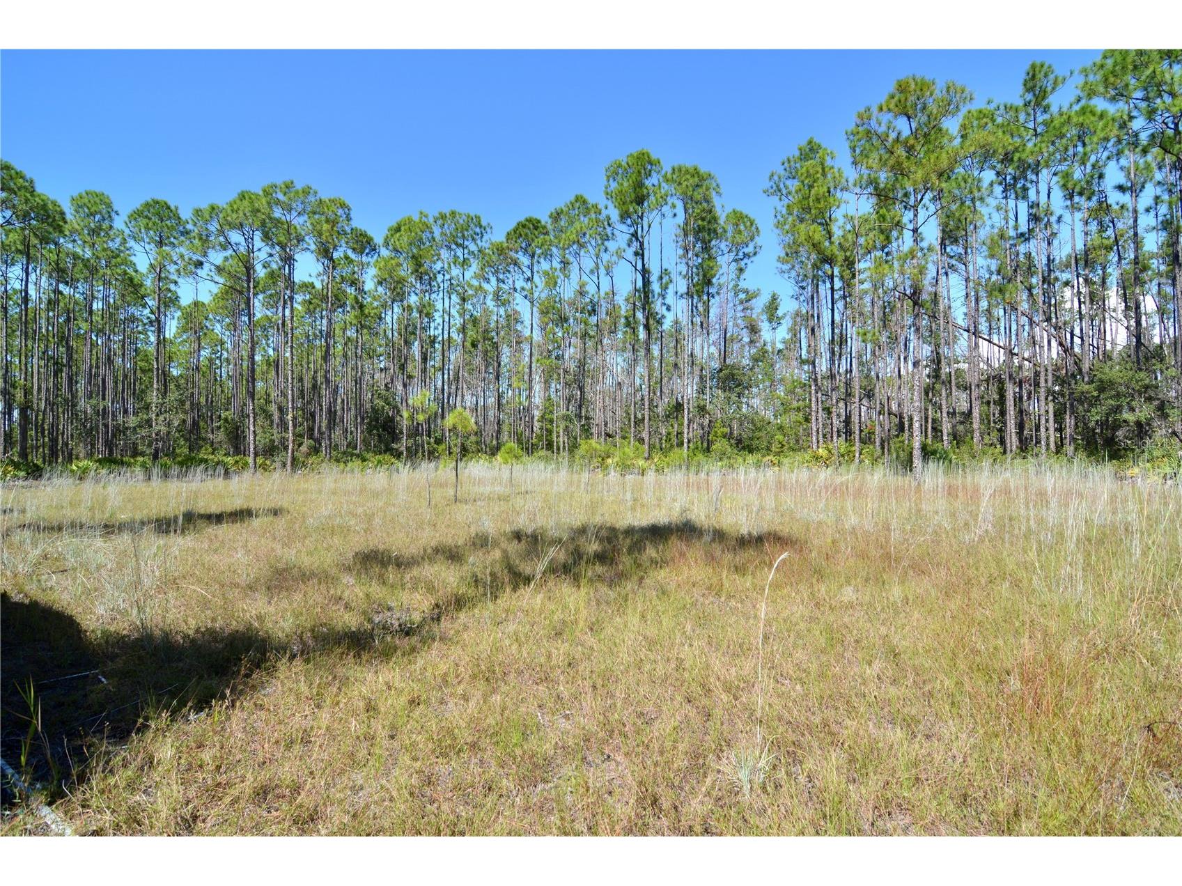 Key Deer Ct Perry FL 32348 OM724069 image4