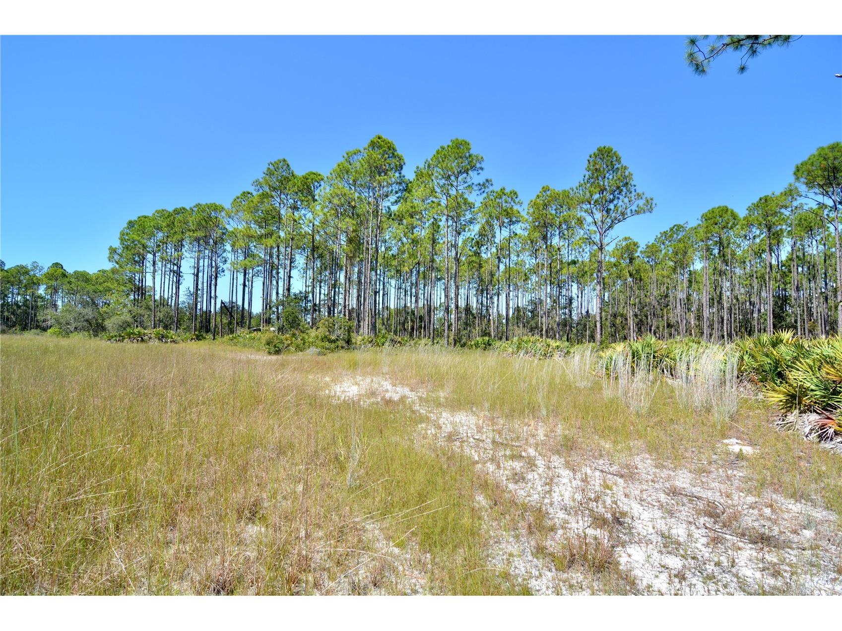 Key Deer Ct Perry FL 32348 OM724069 image8