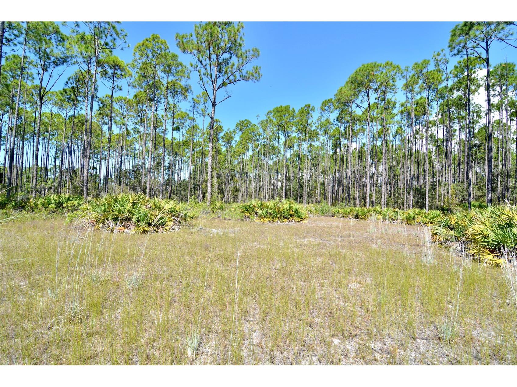 Key Deer Ct Perry FL 32348 OM724069 image9