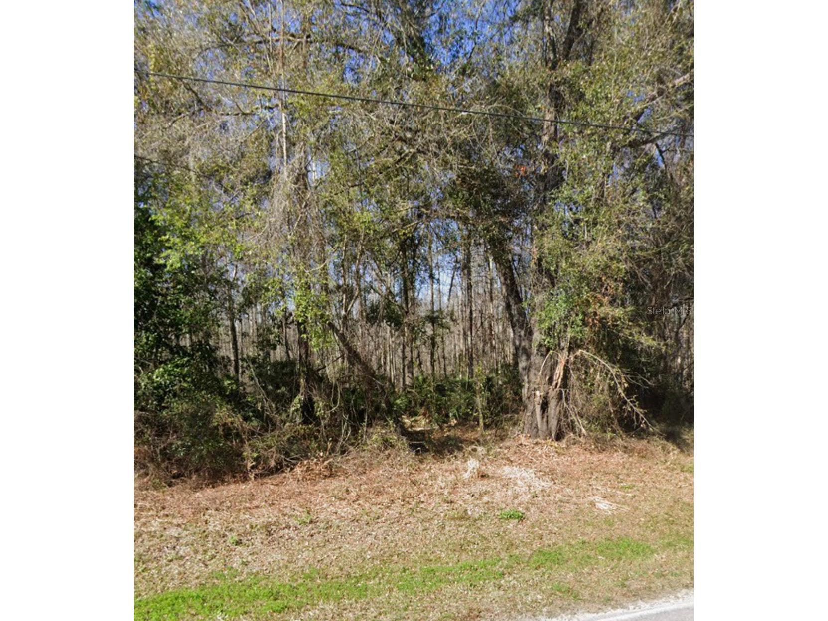 Key Lime New Port Richey FL 34654 TB8503827 image1