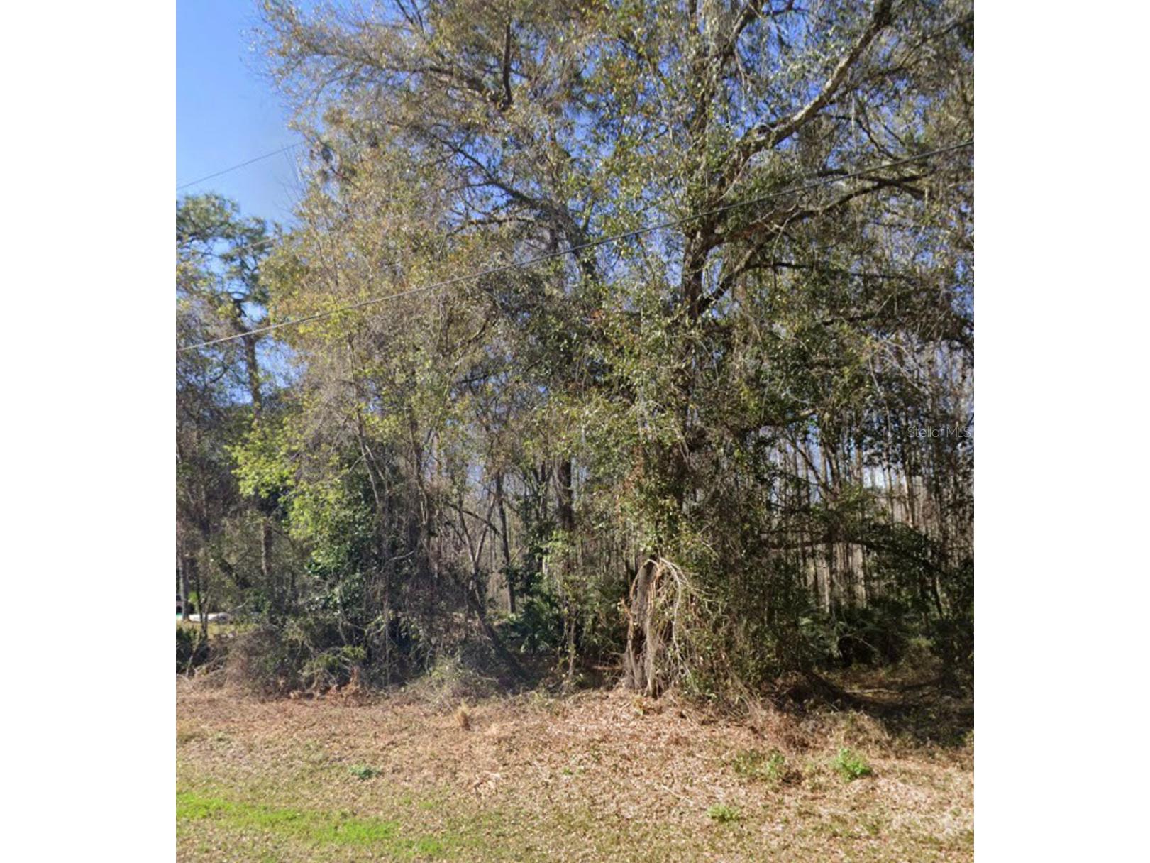 Key Lime New Port Richey FL 34654 TB8503827 image2
