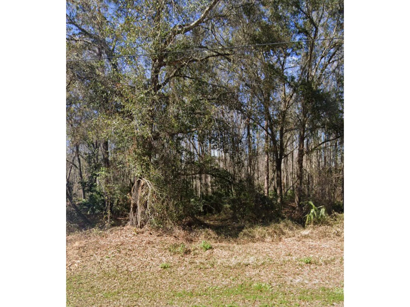 Key Lime New Port Richey FL 34654 TB8503827 image3