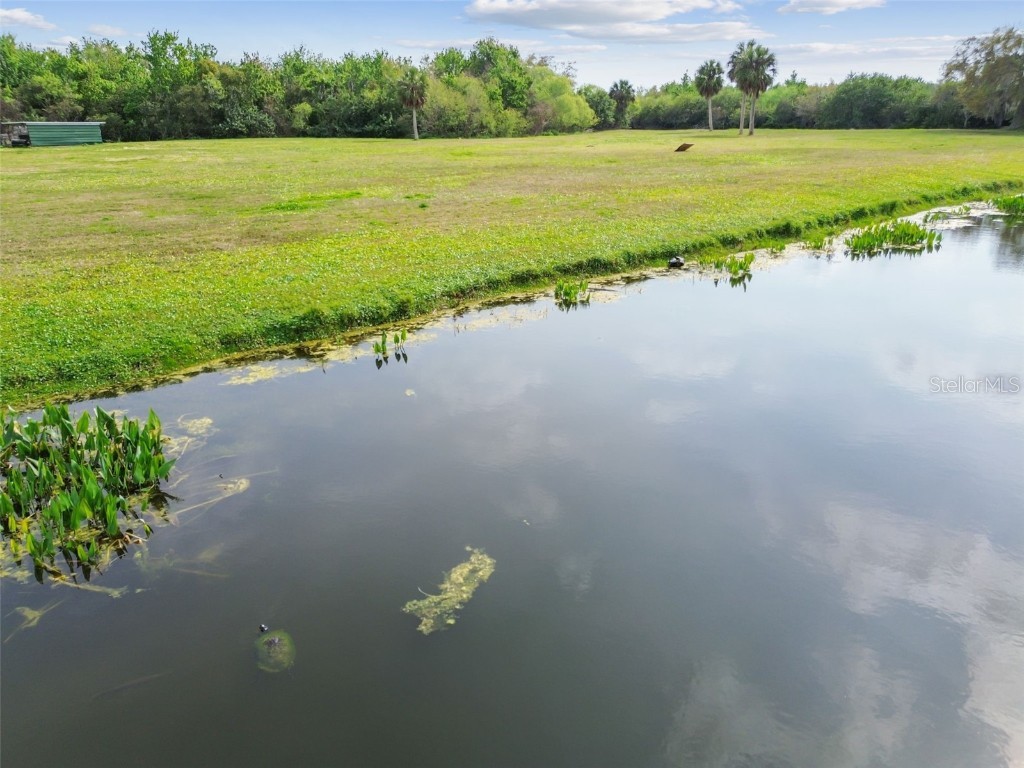 Kibbler Ln Holiday FL 34691 - LAKE CONLEY U8233160 image25