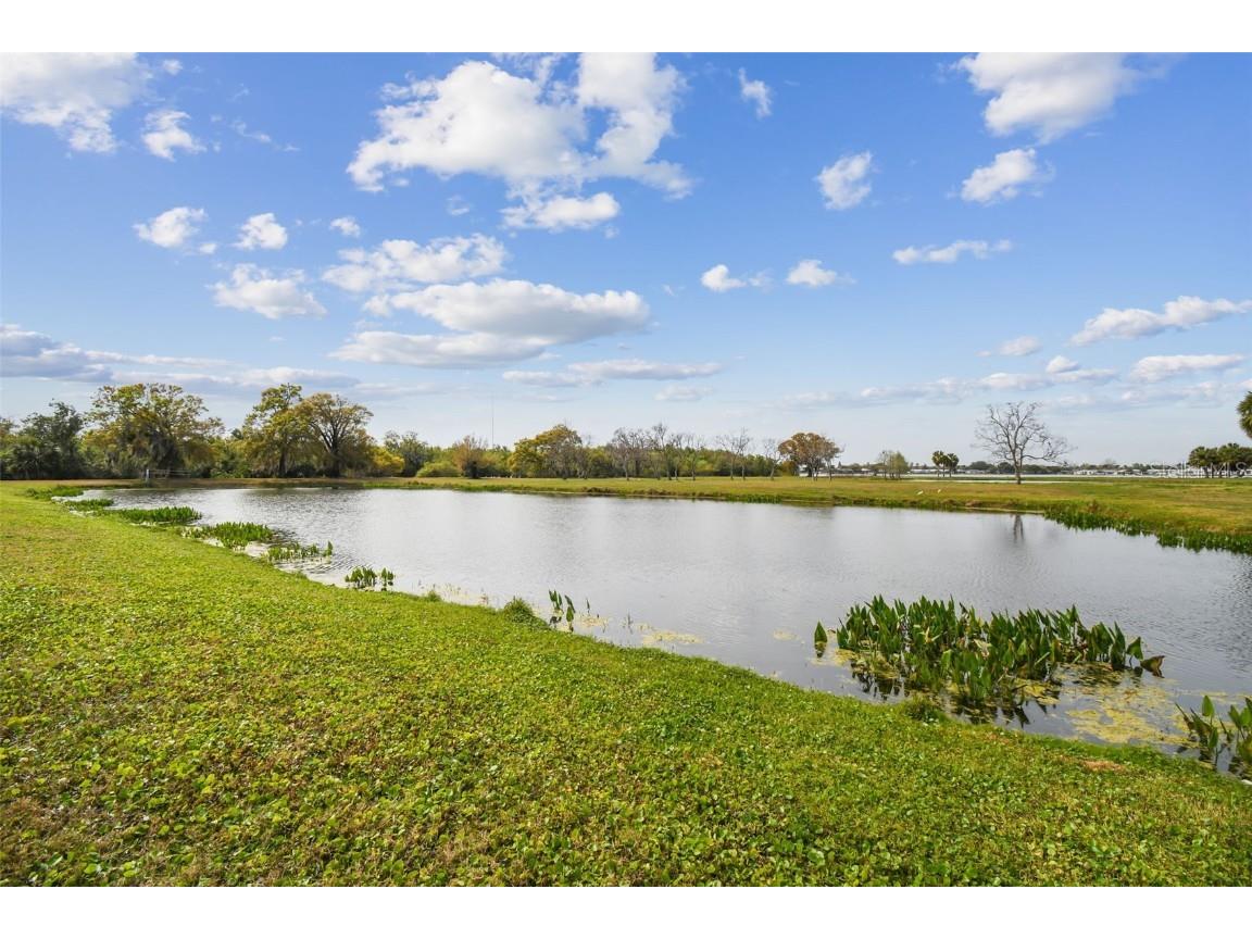 Kibbler Ln Holiday FL 34691 - LAKE CONLEY U8233160 image34