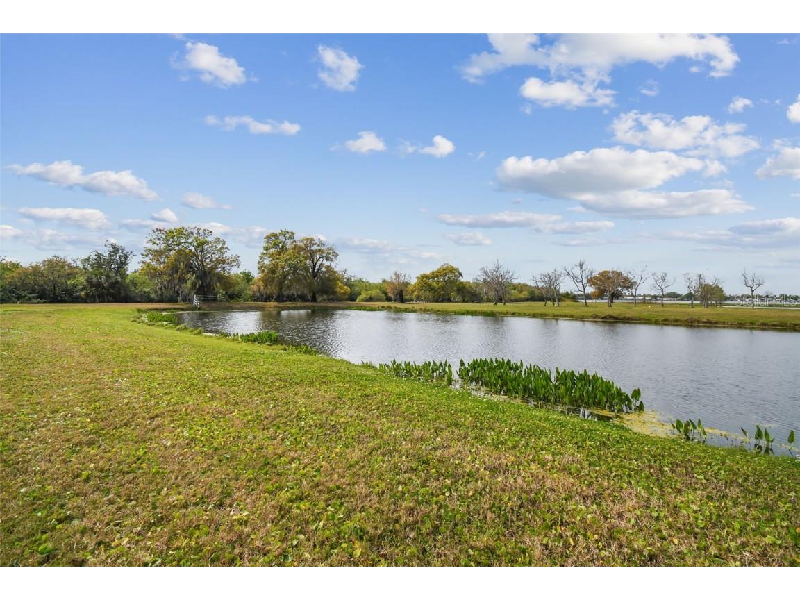 Kibbler Ln Holiday FL 34691 - LAKE CONLEY U8233160 image36