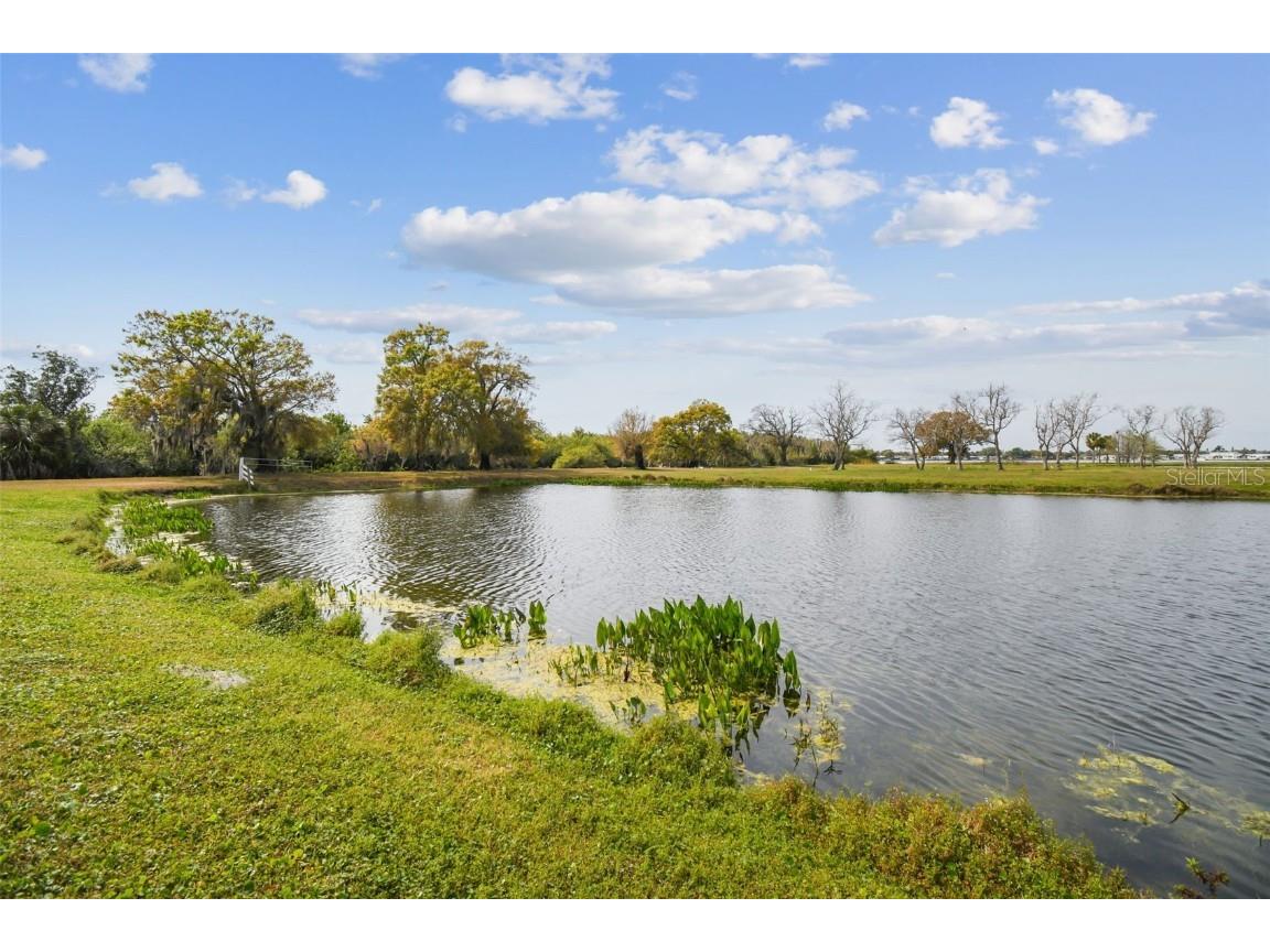 Kibbler Ln Holiday FL 34691 - LAKE CONLEY U8233160 image38