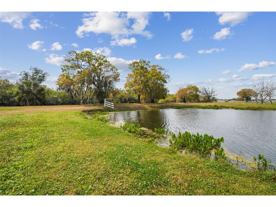 Kibbler Ln Holiday FL 34691 - LAKE CONLEY U8233160 image41