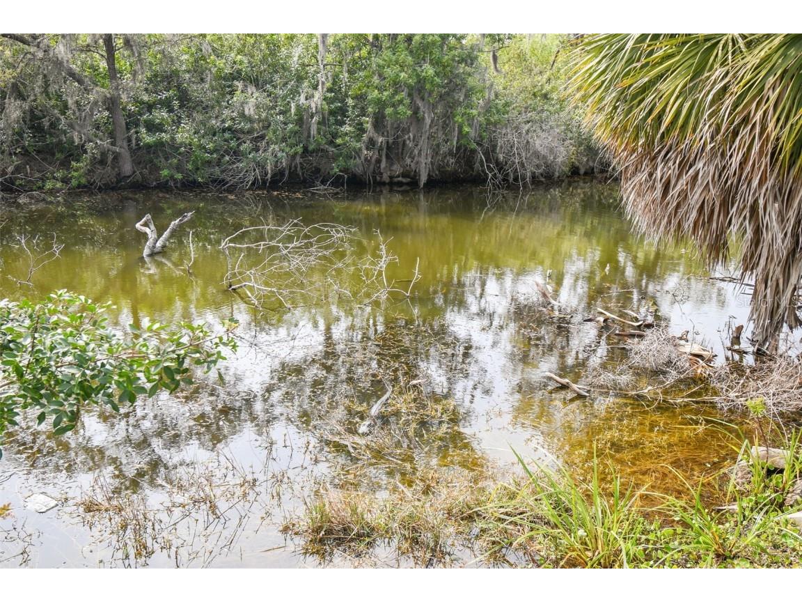 Kibbler Ln Holiday FL 34691 - LAKE CONLEY U8233160 image46