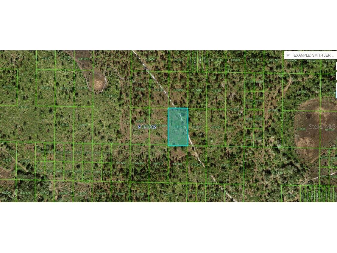 Kicco Road Frostproof FL 33843 O6229090 image1