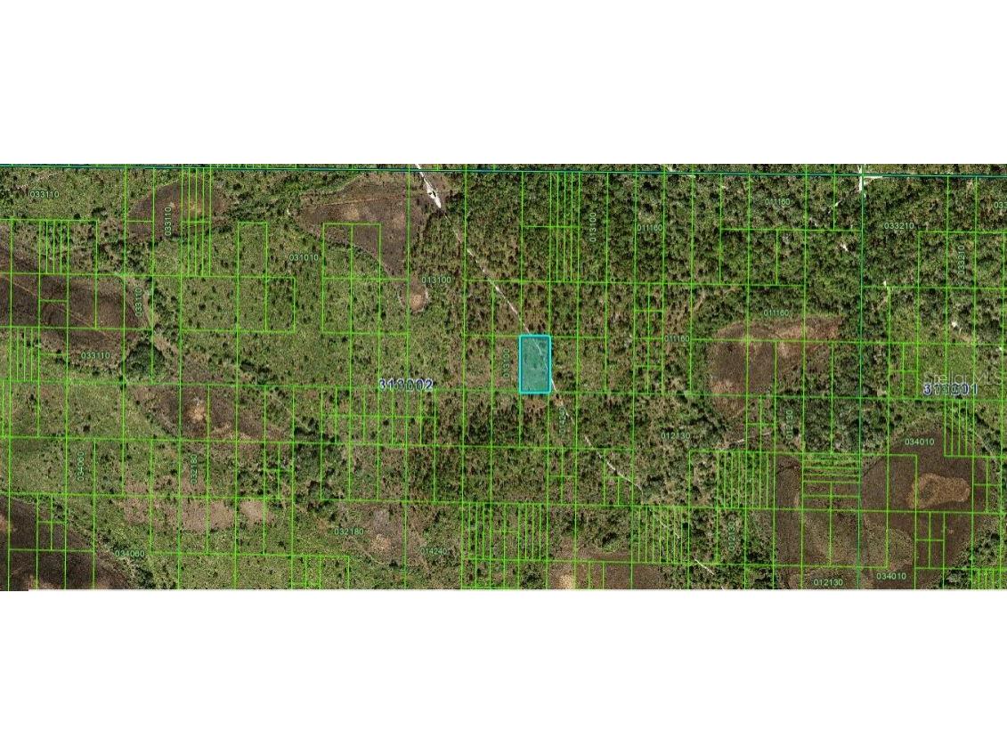 Kicco Road Frostproof FL 33843 O6229090 image3