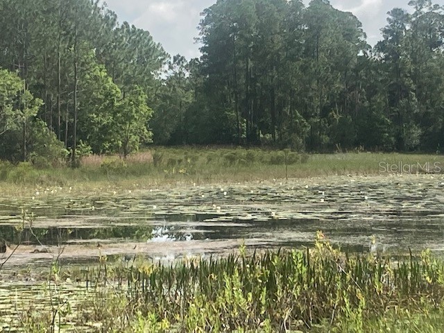 Kilker Road Paisley FL 32767 G5070151 image1