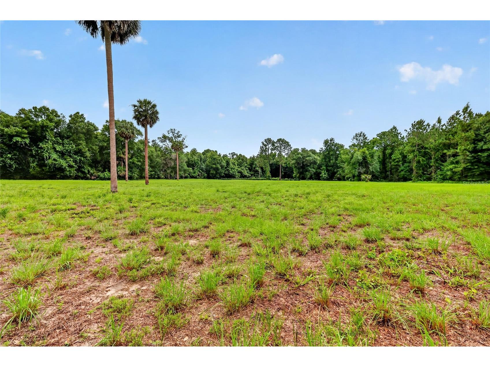 Kilker Road Paisley FL 32767 G5113158 image11
