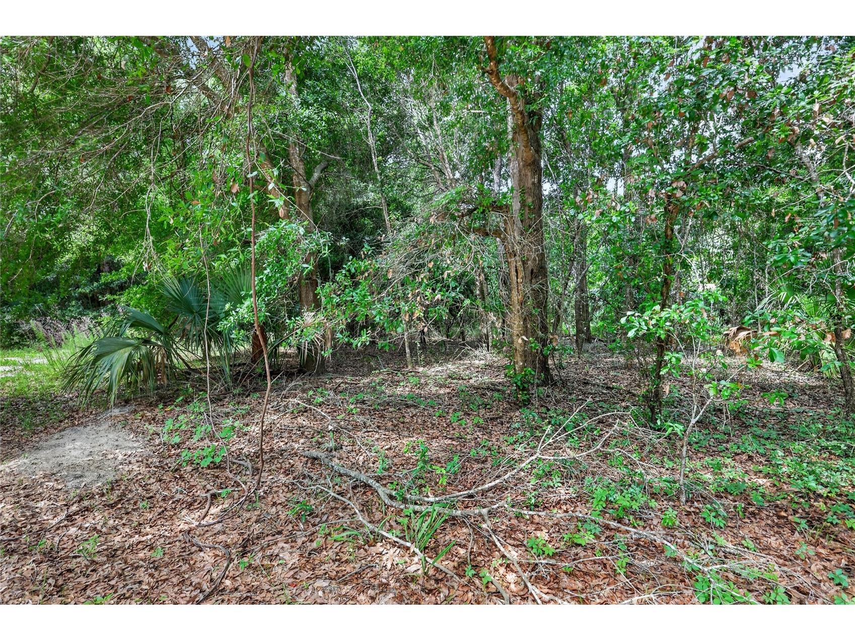Kilker Road Paisley FL 32767 G5113158 image5