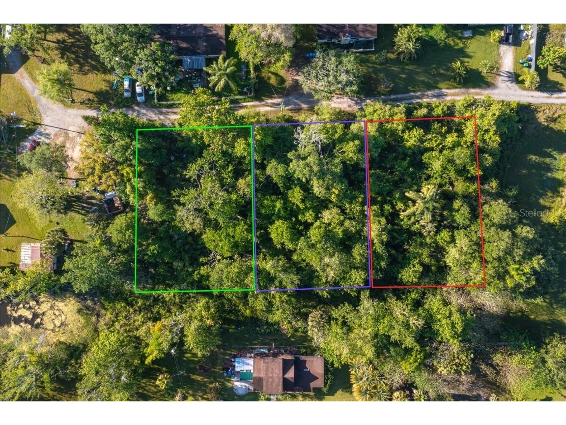 Killarney Cove Drive Winter Garden FL 34787 O6099204 image8