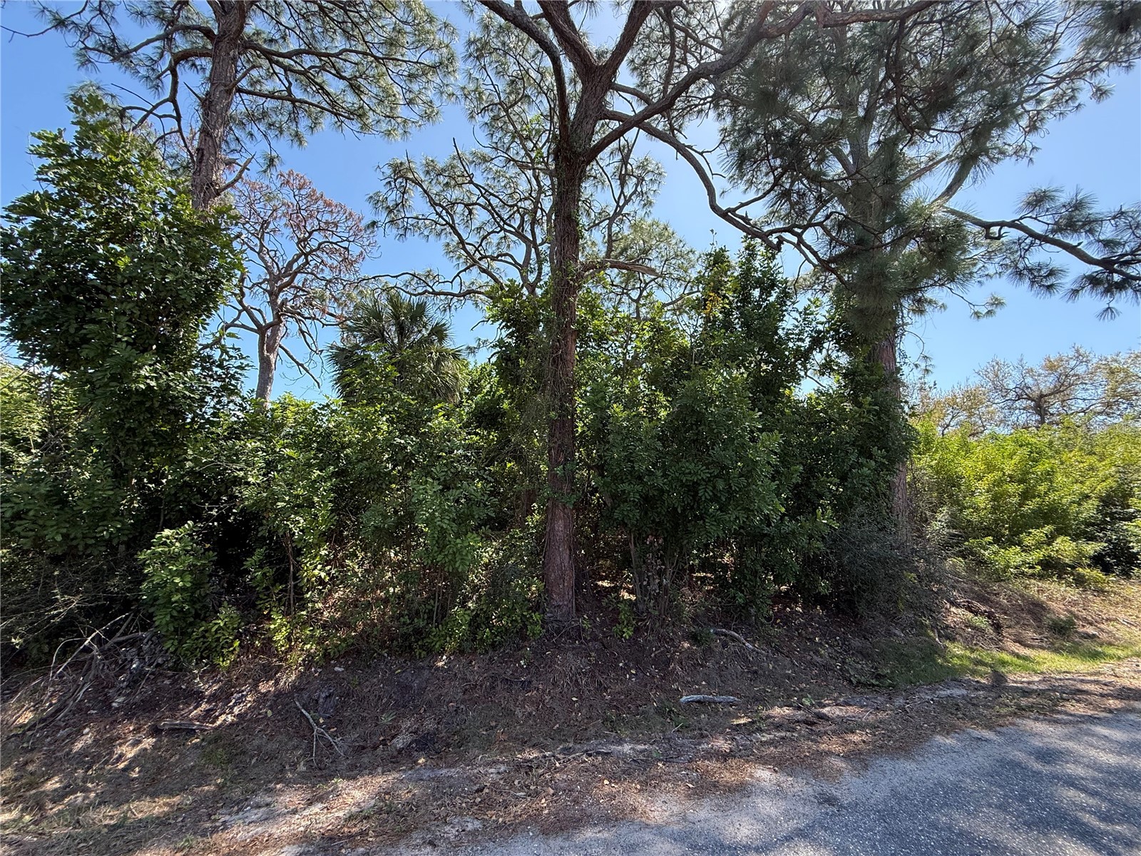 Kimball Road Venice FL 34293 N6143306 image2