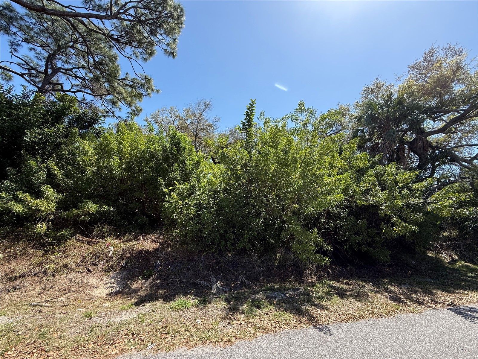 Kimball Road Venice FL 34293 N6143306 image3