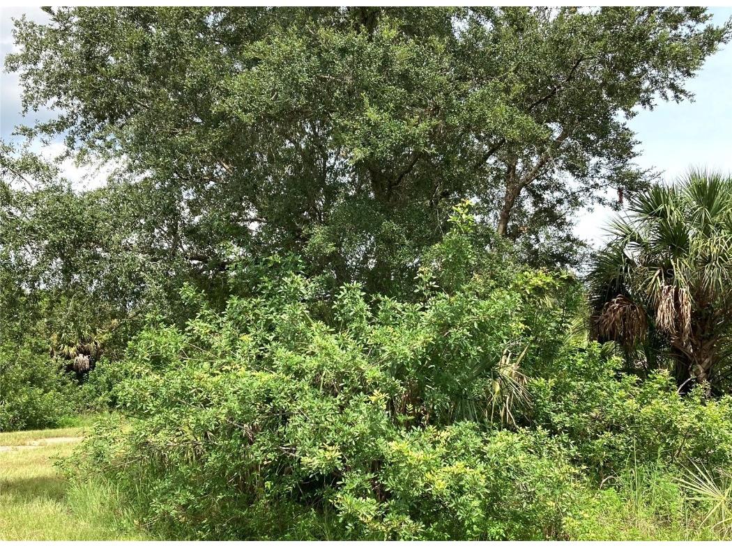 Kimberly Drive North Port FL 34288 O5971919 image2