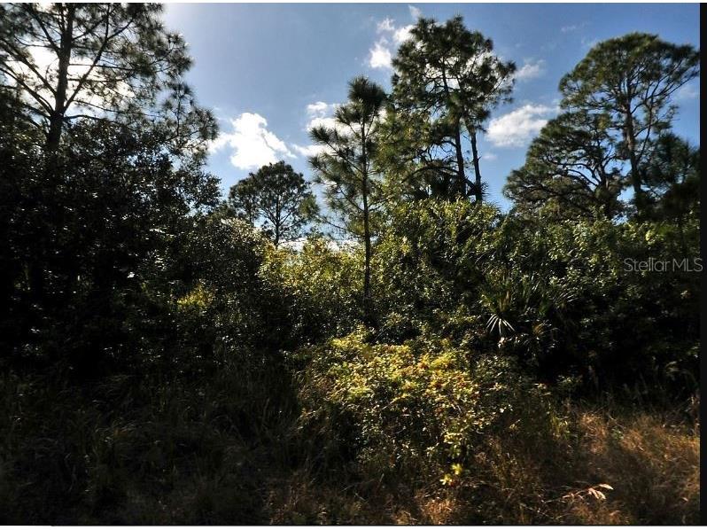 Kimberly Drive North Port FL 34288 O6299522 image3