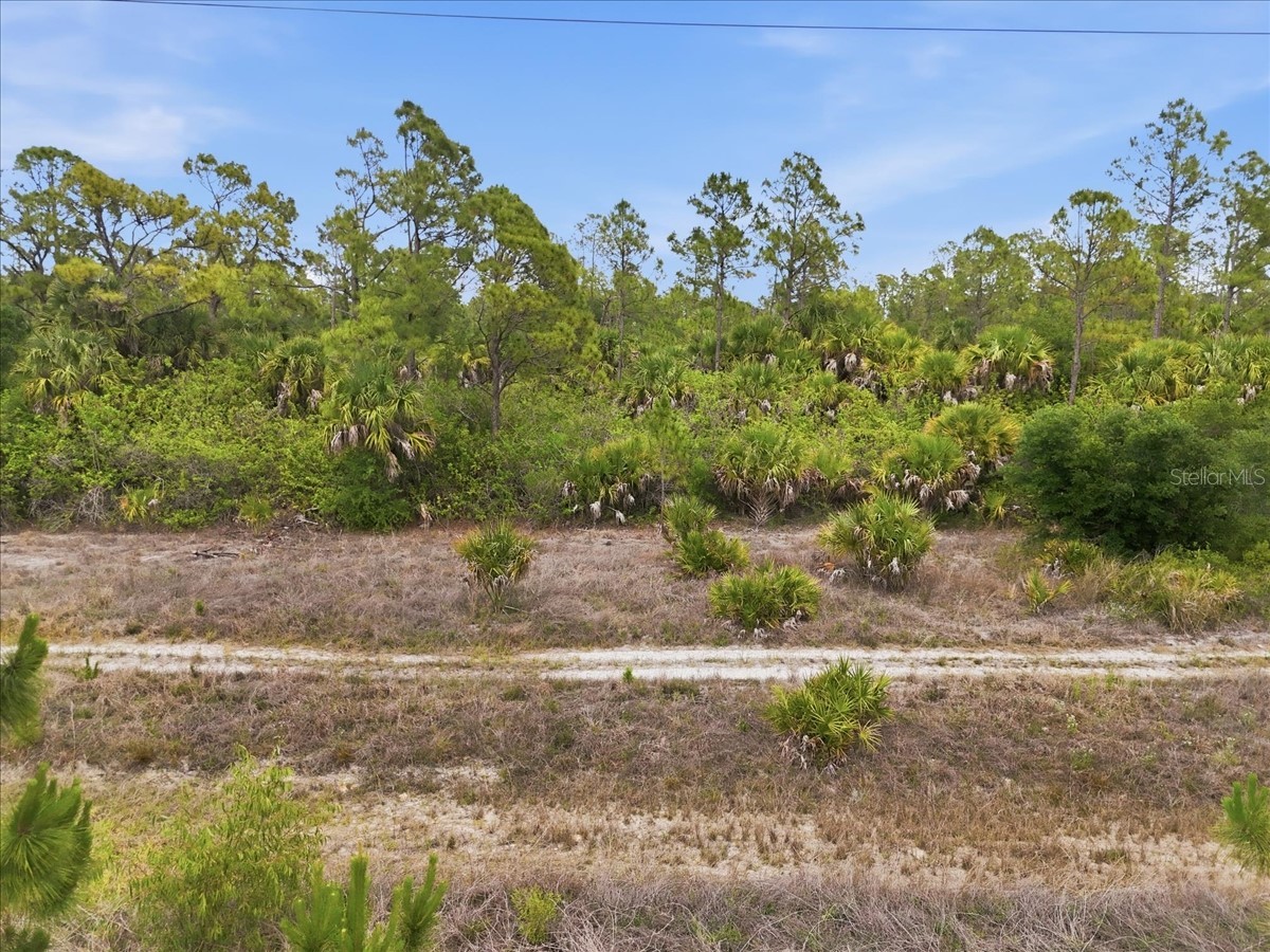 Kimberly Drive North Port FL 34288 O6407402 image33