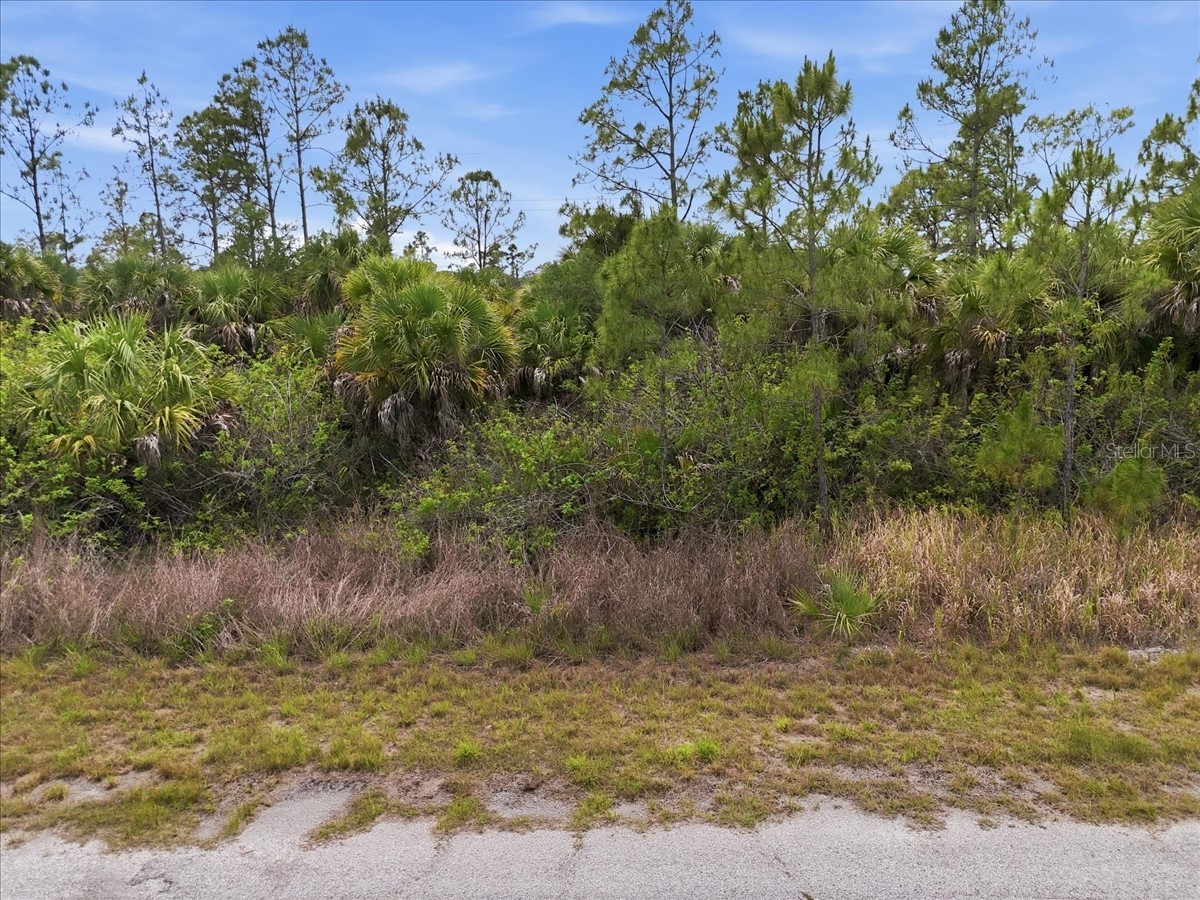 Kimberly Drive North Port FL 34288 O6407402 image34