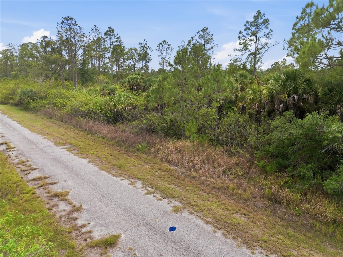 Kimberly Drive North Port FL 34288 O6407402 image38