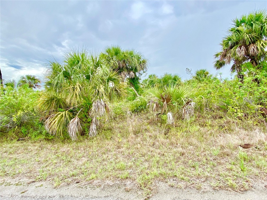 Kimberly Drive North Port FL 34288 T3534480 image2