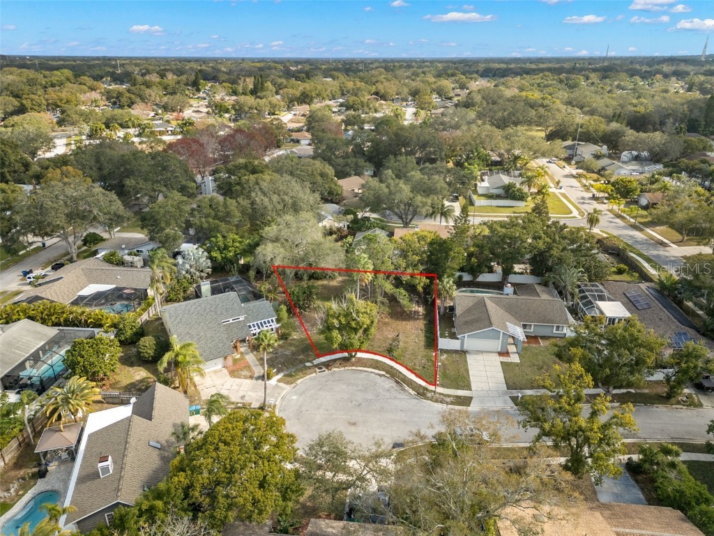 Kindall Circle Palm Harbor FL 34683 U8225304 image1