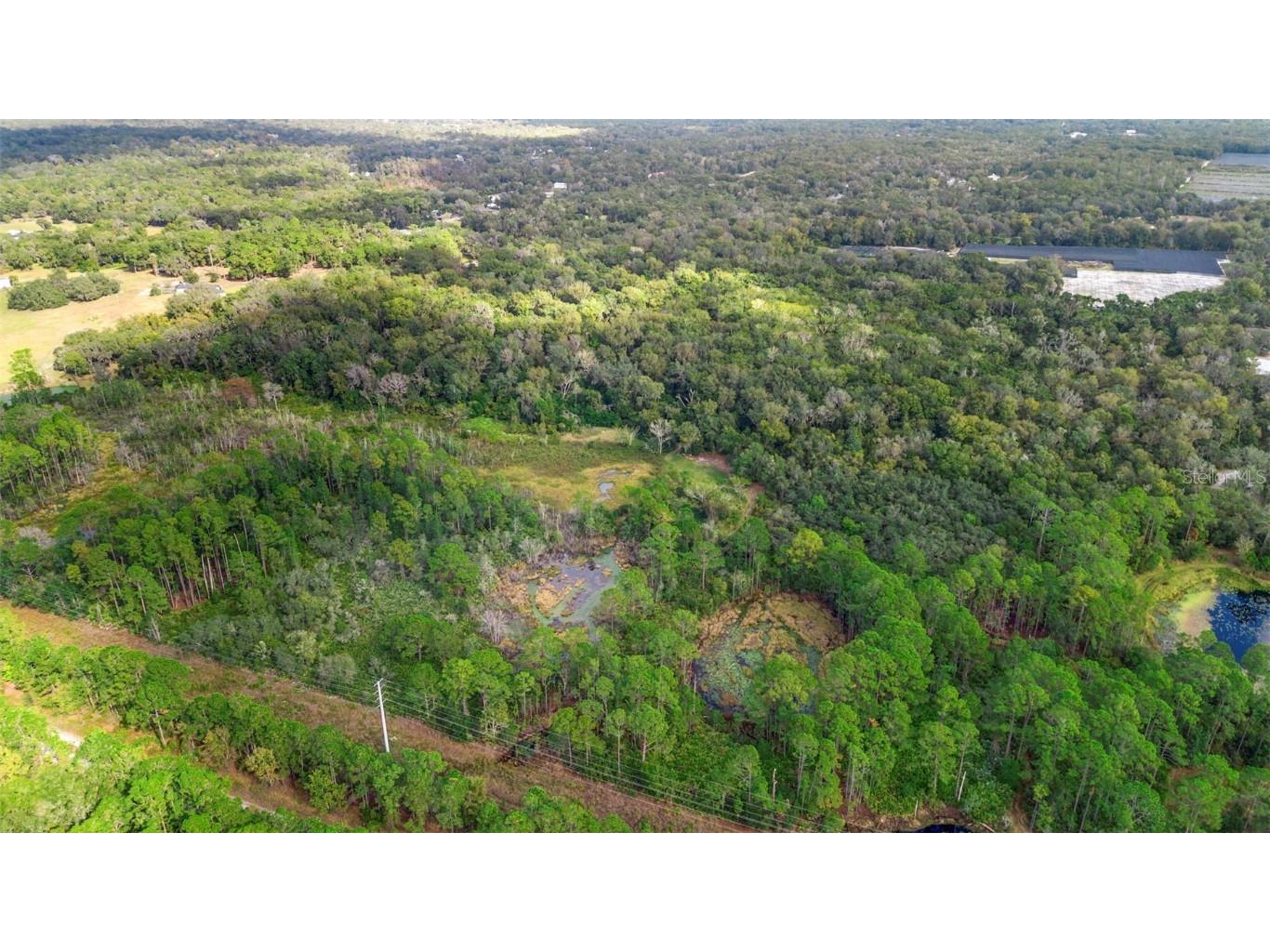 King Street Deland FL 32720 V4946056 image16