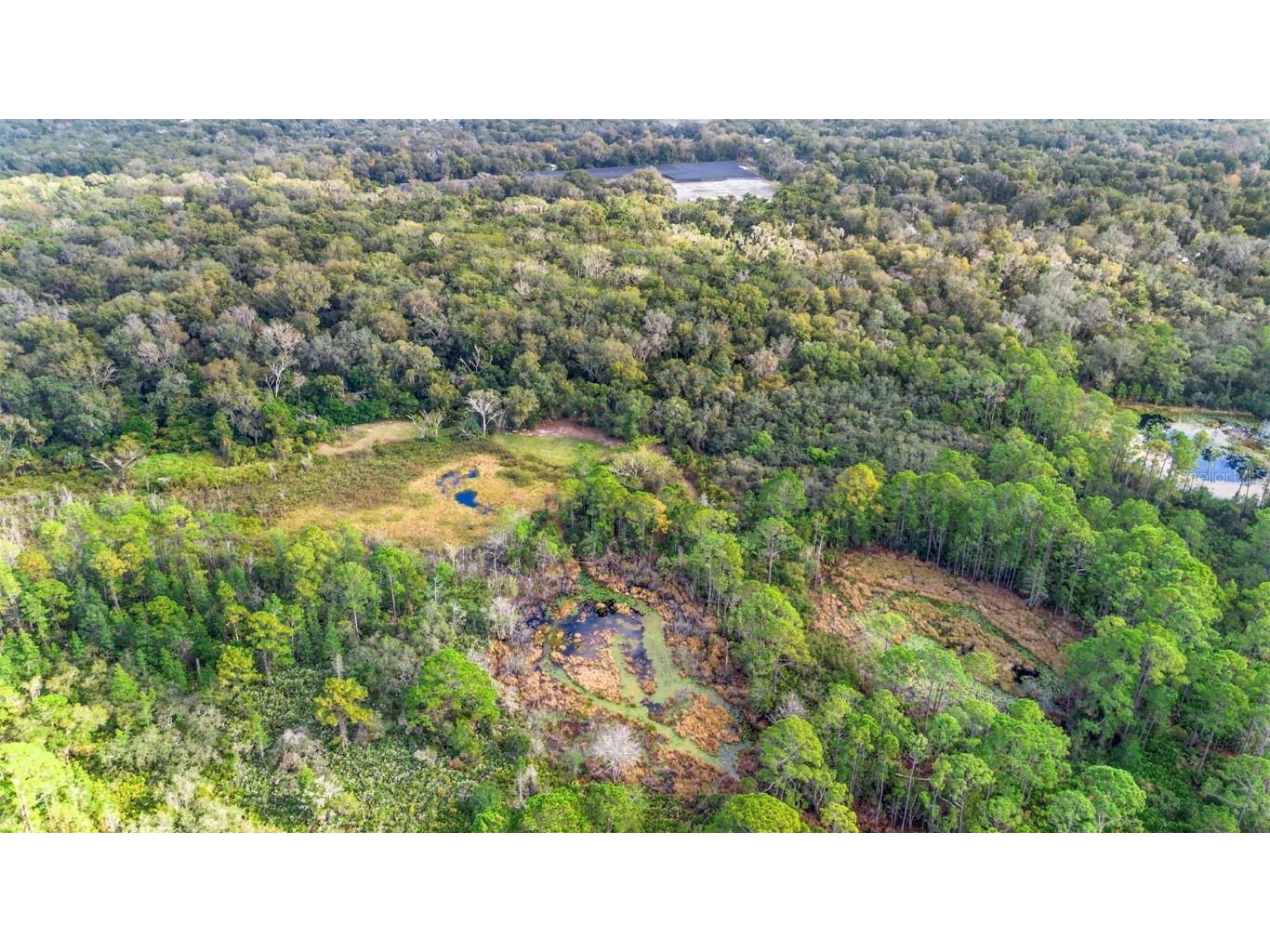 King Street Deland FL 32720 V4946056 image17