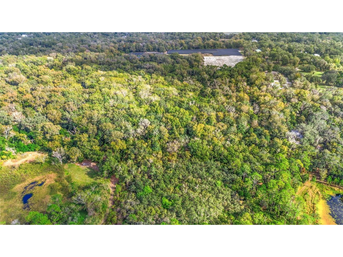 King Street Deland FL 32720 V4946056 image6